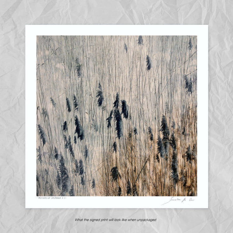 Pastures of Splendour No.3