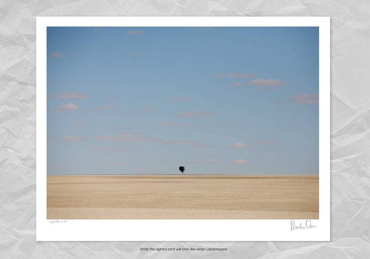 Solitary No.24