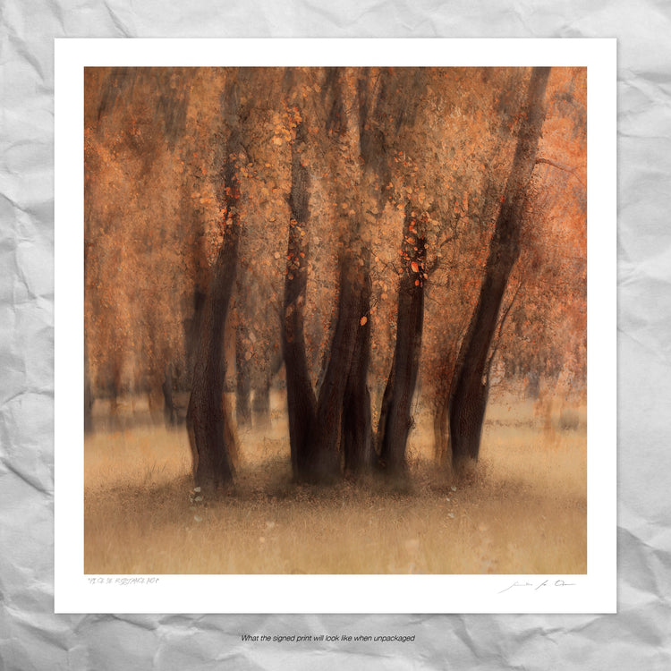 Pièce de Rèsistance No.1