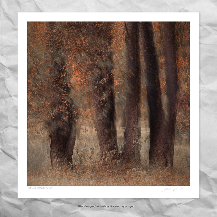 Pièce de Rèsistance No.2