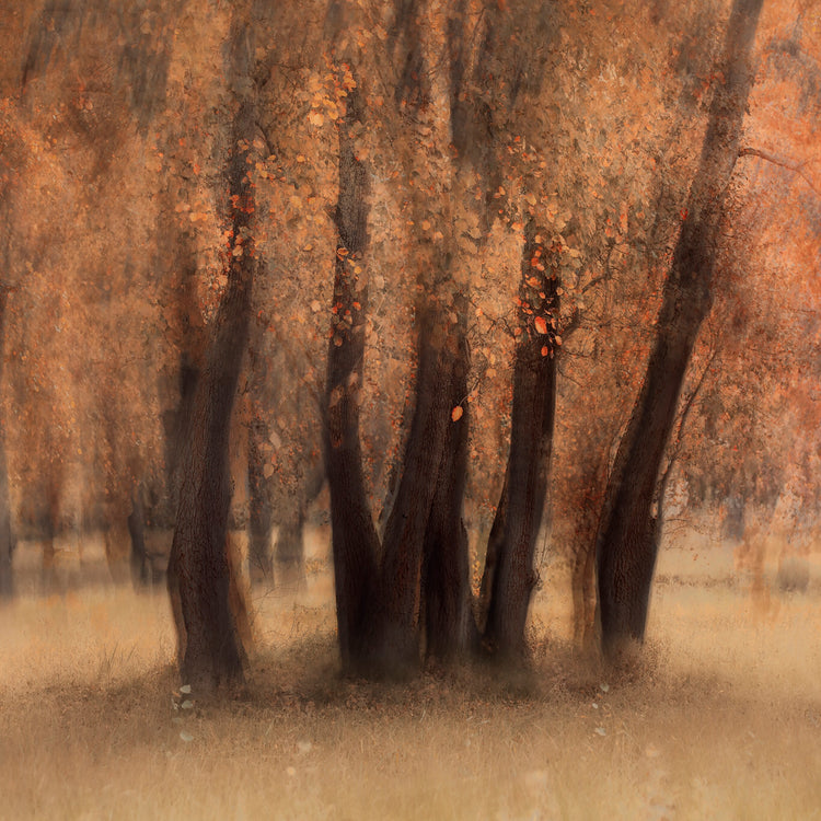 Pièce de Rèsistance No.1