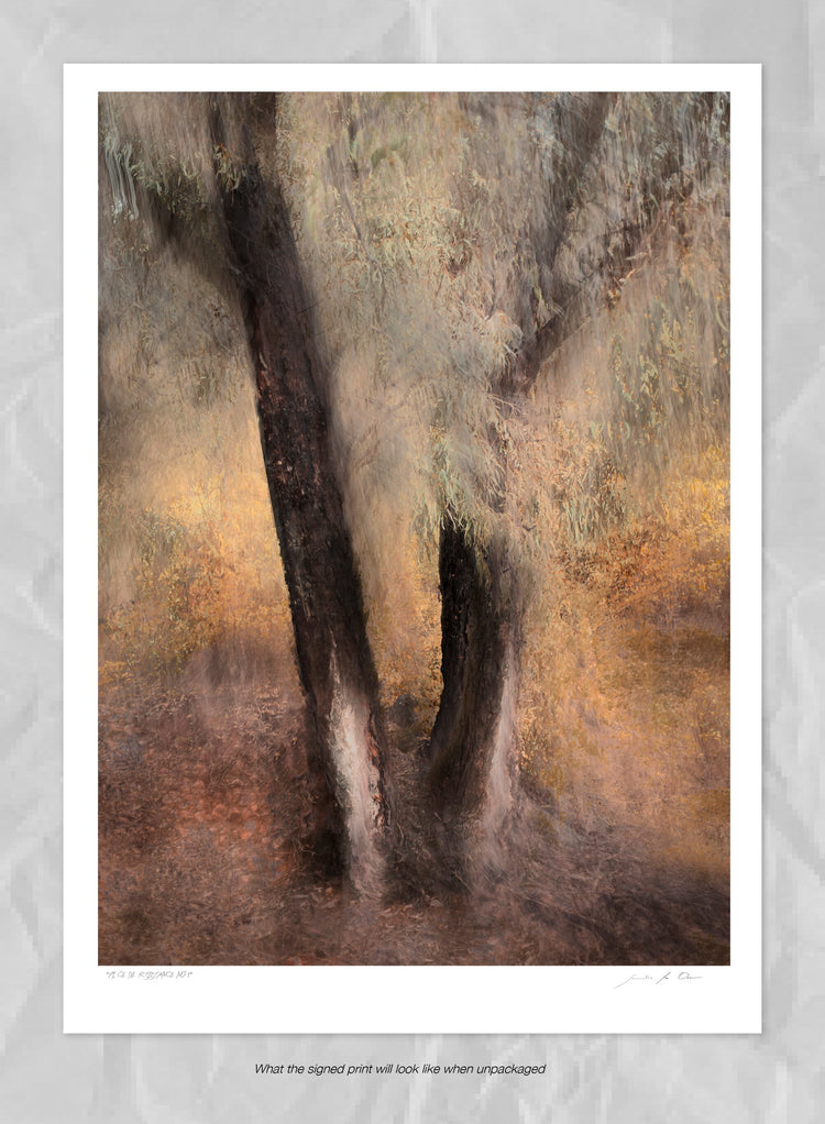 Pièce de Rèsistance No.7