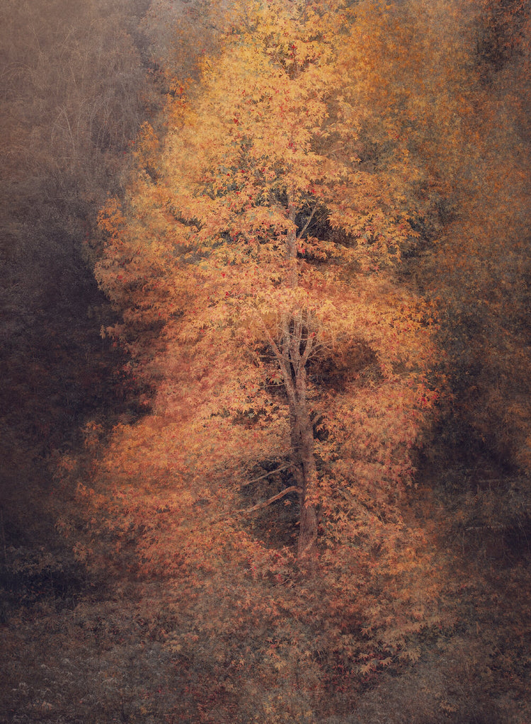 Pièce de Rèsistance No.8