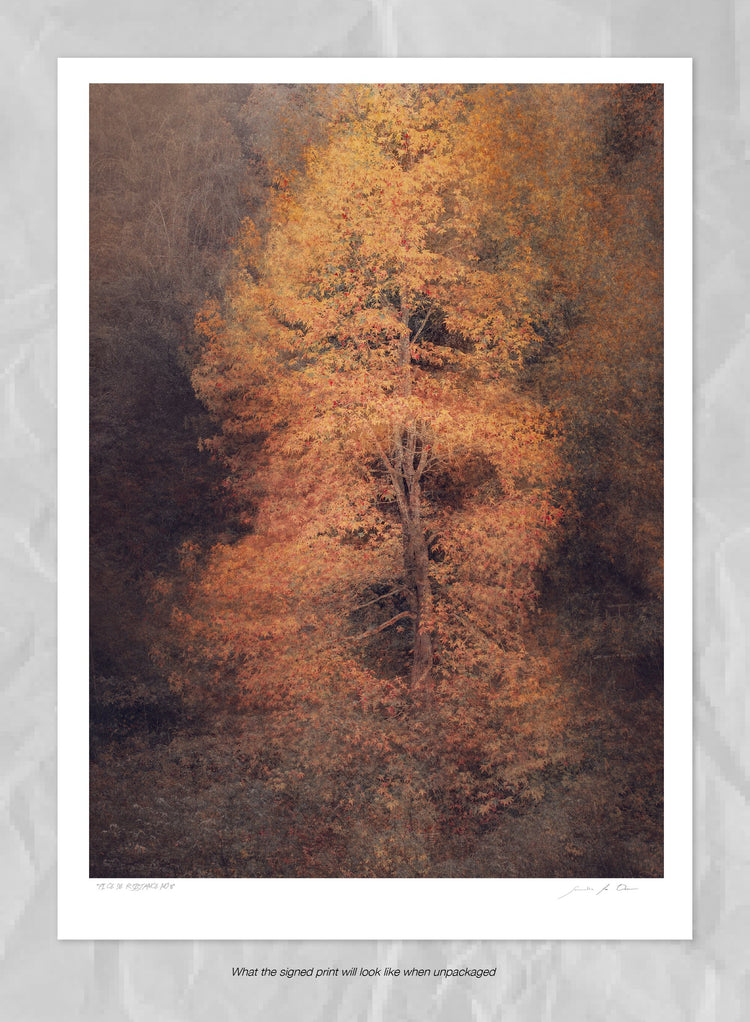 Pièce de Rèsistance No.8