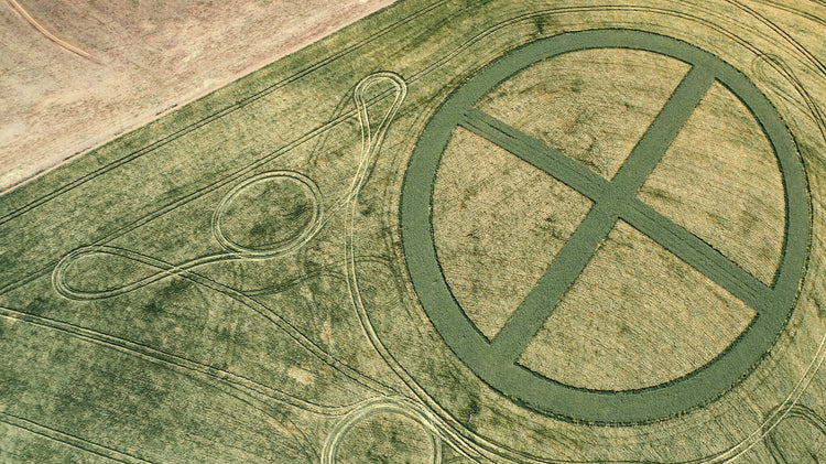 From Above | Delineation No.1