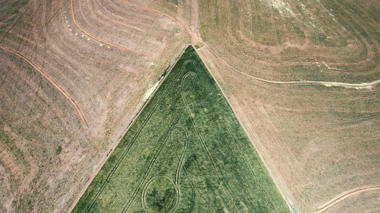 From Above | Delineation No.2