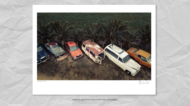 From Above | Vintage Rhythm