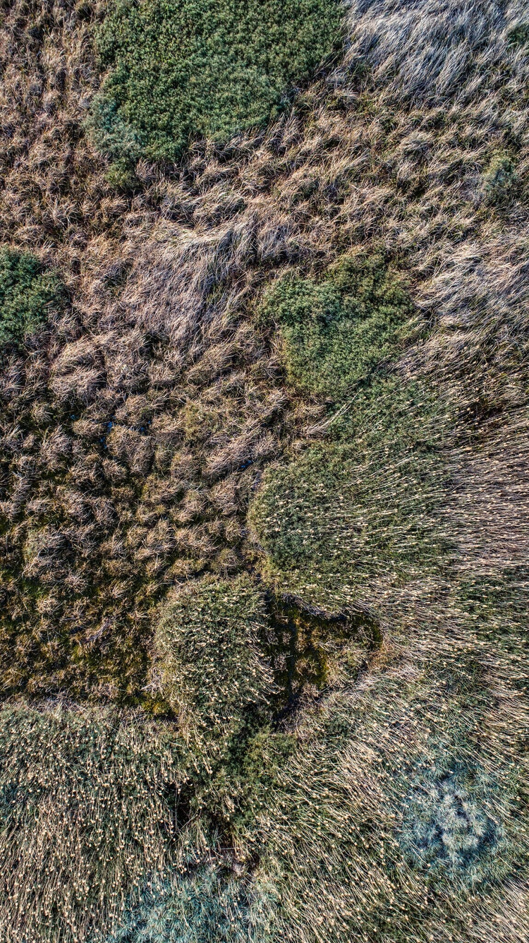 From Above | Nature's Design No.2