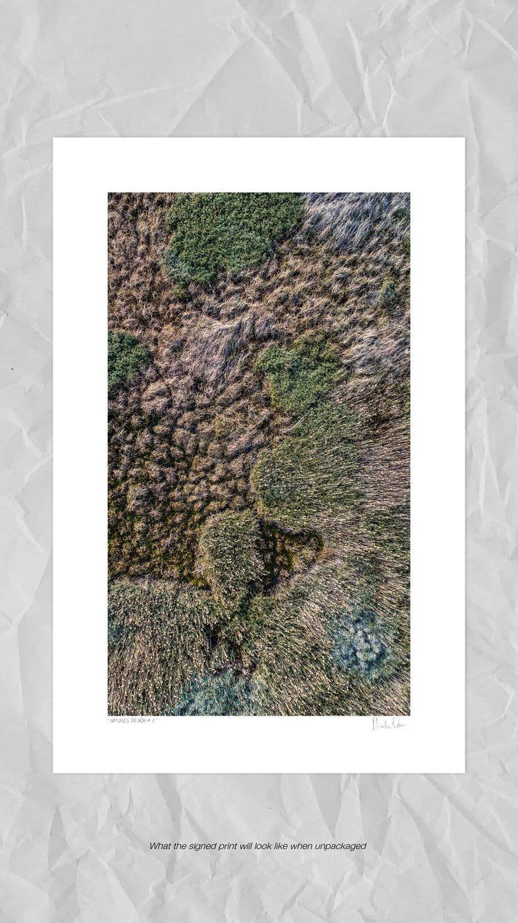 From Above | Nature's Design No.2