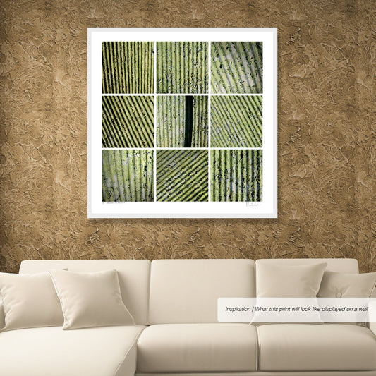 Analogous Anthology No.2