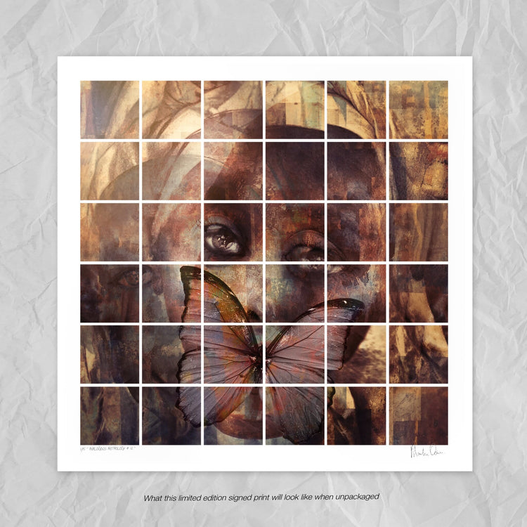 Analogous Anthology No.12