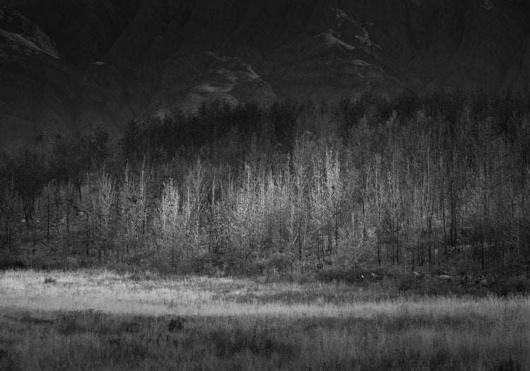 Ebony & Ivory - Valley of Mont Rouge