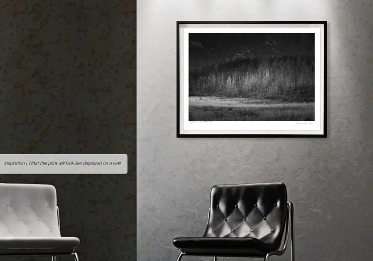 Ebony & Ivory - Valley of Mont Rouge