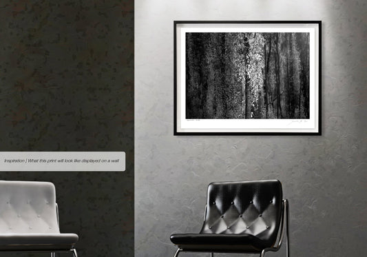 Ebony & Ivory - Autumn