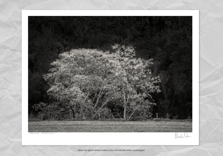 Ebony & Ivory - Natures Valley