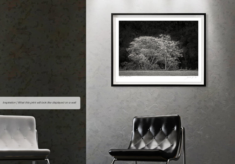 Ebony & Ivory - Natures Valley