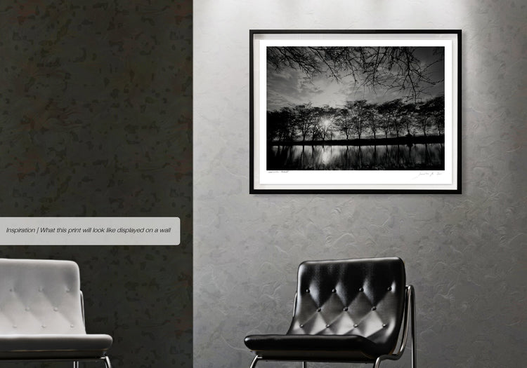 Ebony & Ivory - Moonlight