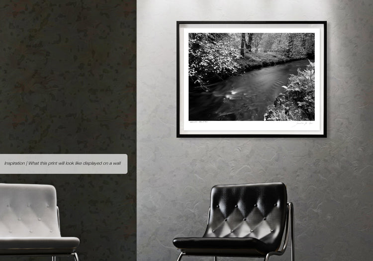 Ebony & Ivory - Banks of Nevis