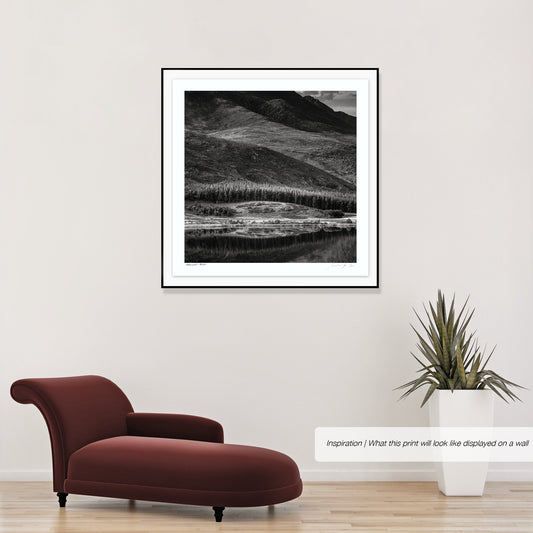 Ebony & Ivory - Mirror