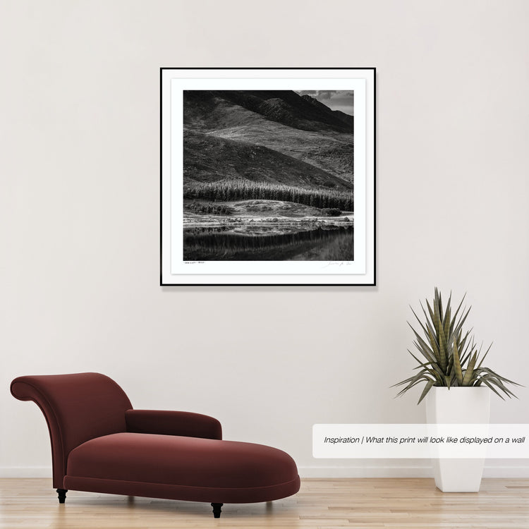 Ebony & Ivory - Mirror