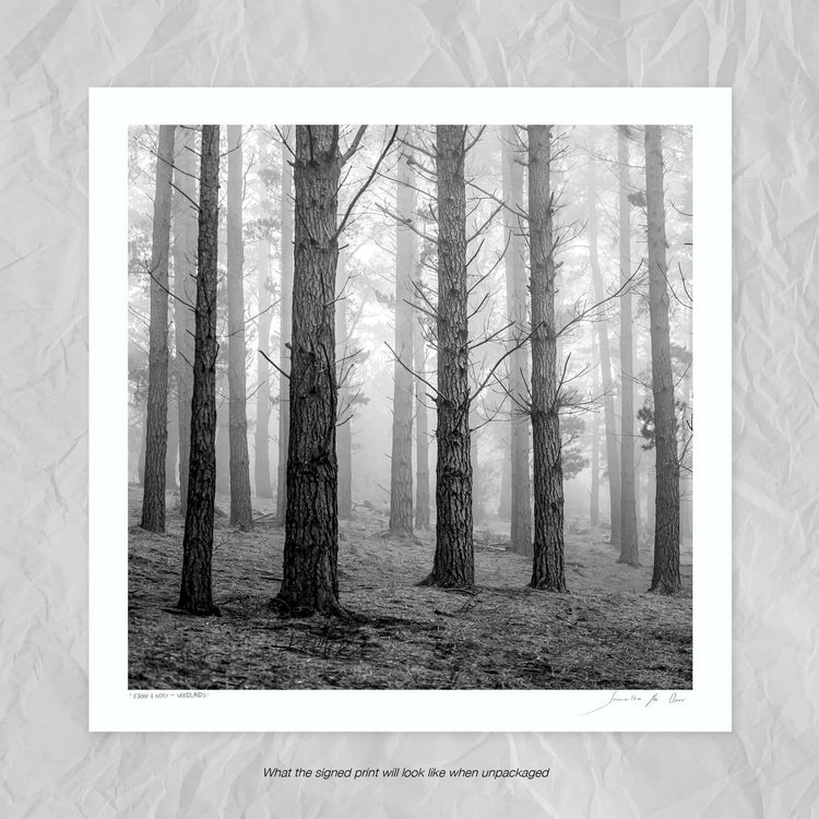 Ebony & Ivory - Woodlands