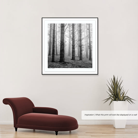 Ebony & Ivory - Woodlands