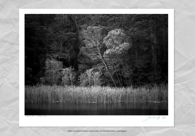 Ebony & Ivory - Leopards Lake
