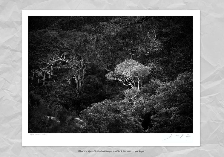 Ebony & Ivory - Stark