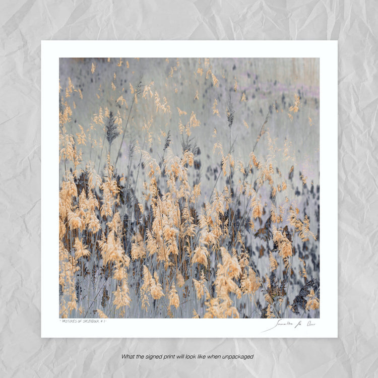 Pastures of Splendour No.2