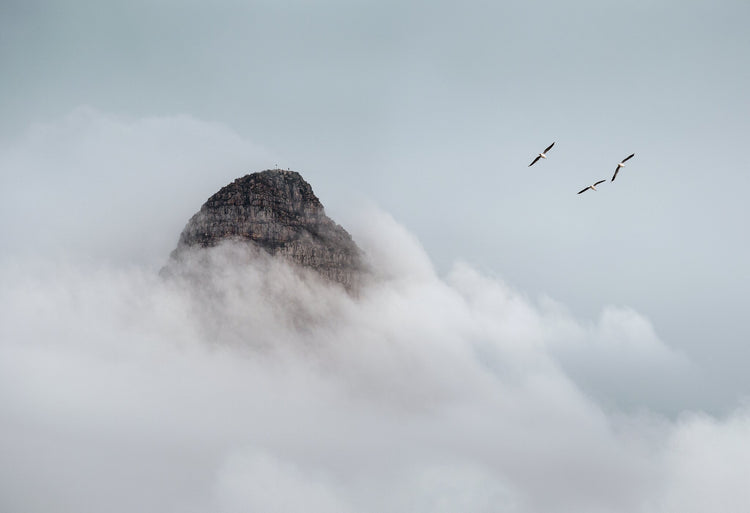 Classic Cape Town | Signal Hill