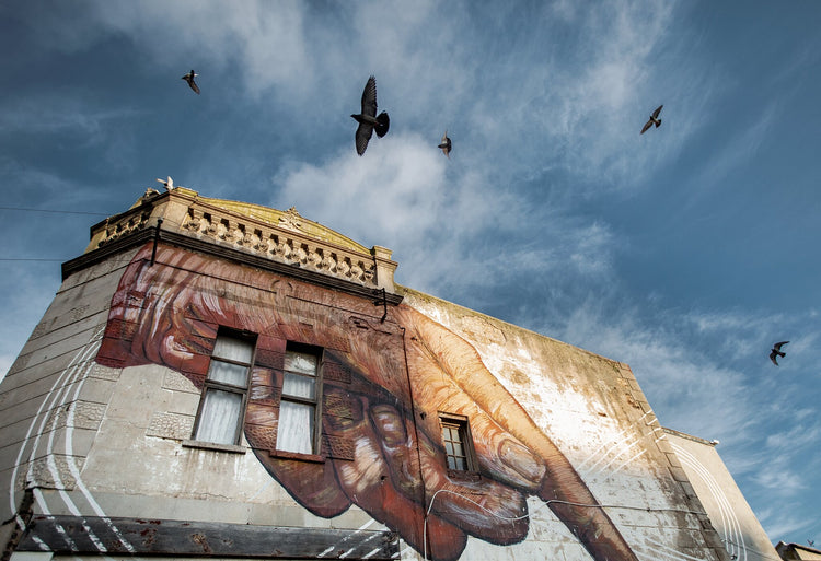 Classic Cape Town | Flight