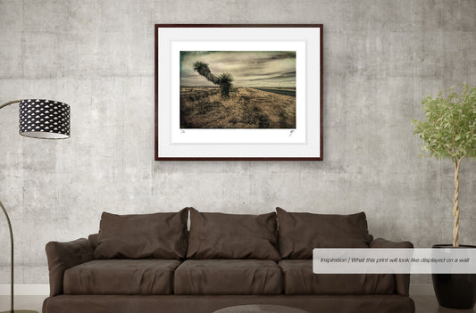 Landscape with Palm Trees