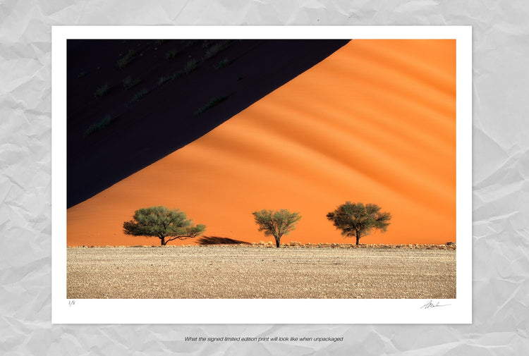 Sand mountains of Sossusvlei