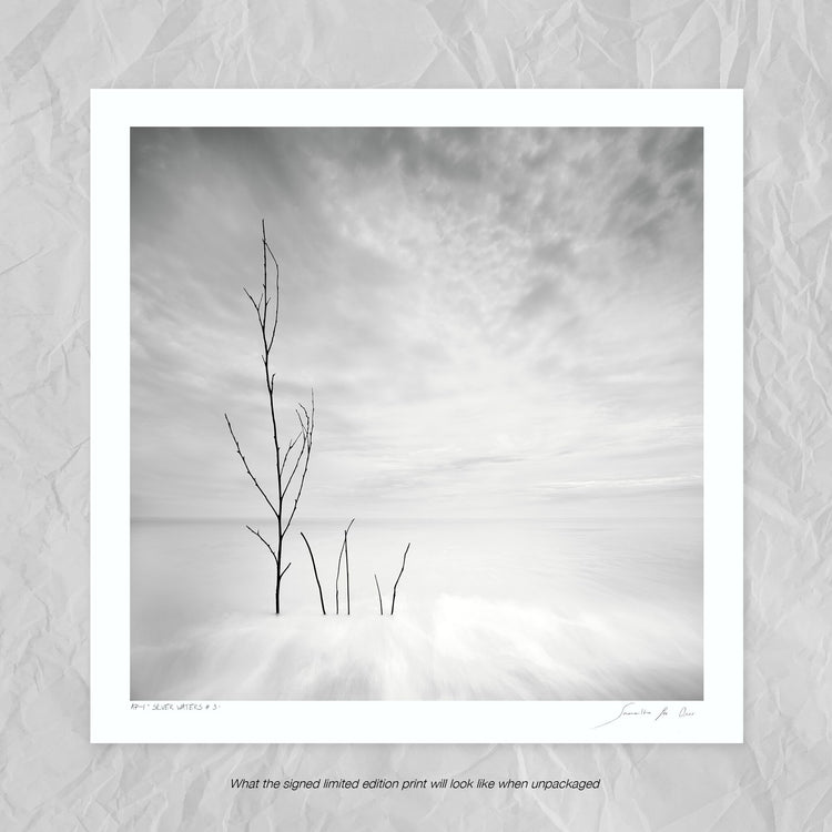 Silver Waters No.3
