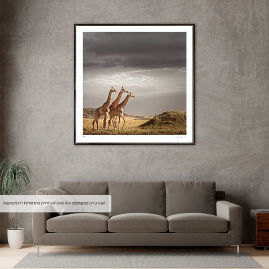 Trilogy No.1 | Pride of Africa