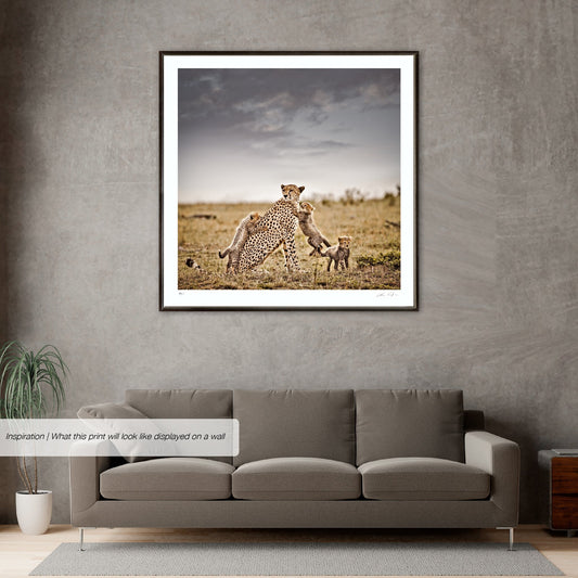 Pride and Joy No.1 | Pride of Africa