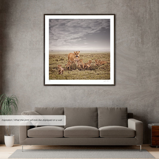 Mara Harmony No.1 | Pride of Africa