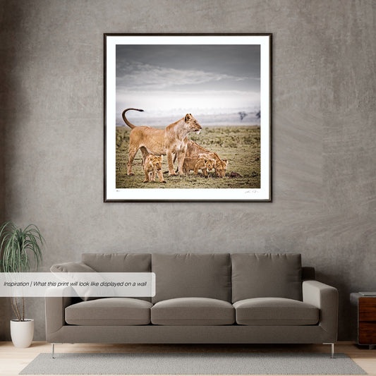 Mara Harmony No.2 | Pride of Africa