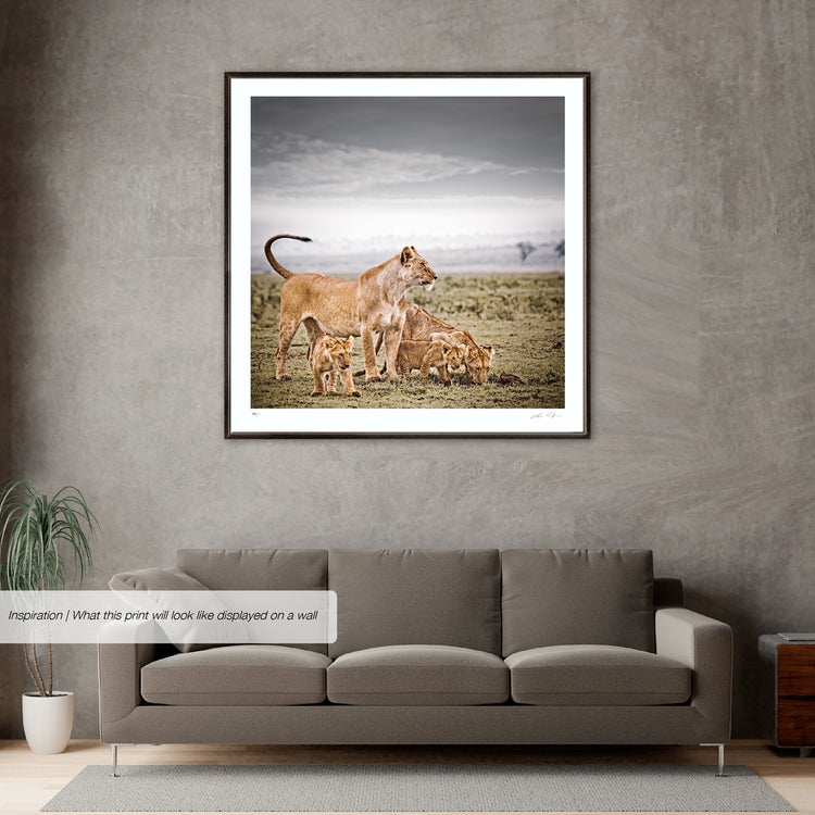 Mara Harmony No.2 | Pride of Africa