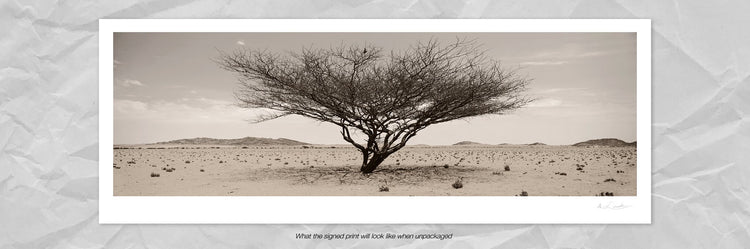 Arid Wilderness No.1