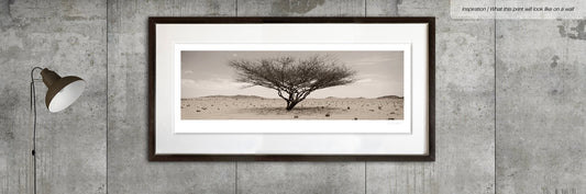 Arid Wilderness No.1