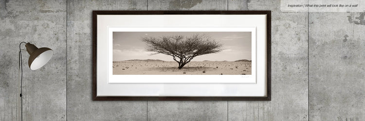 Arid Wilderness No.1