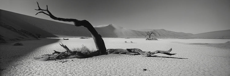 Dead Vlei
