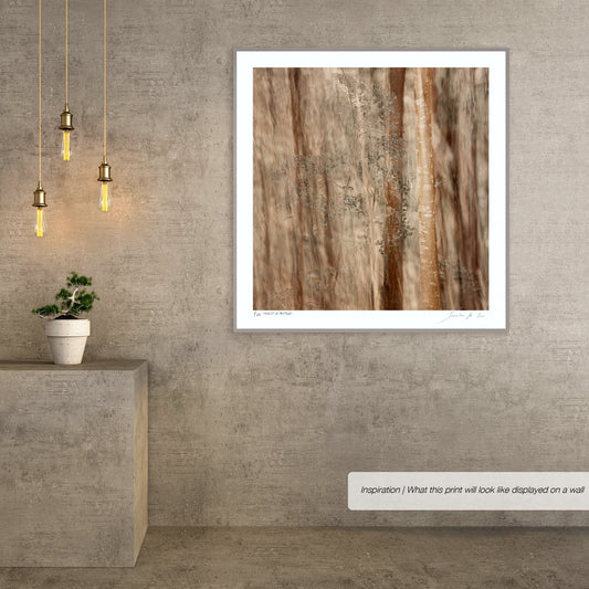 Forest of Mystique No.1