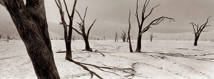 Deadvlei No.2