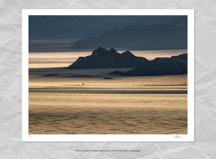 Gold | Namib in Flood