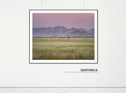 Sentinels of the Desert | Namib in Flood