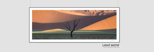 Light Motif | Namib in Flood