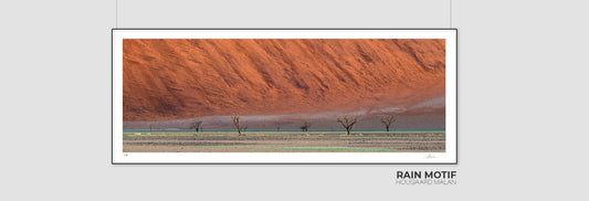 Rain Motif | Namib in Flood
