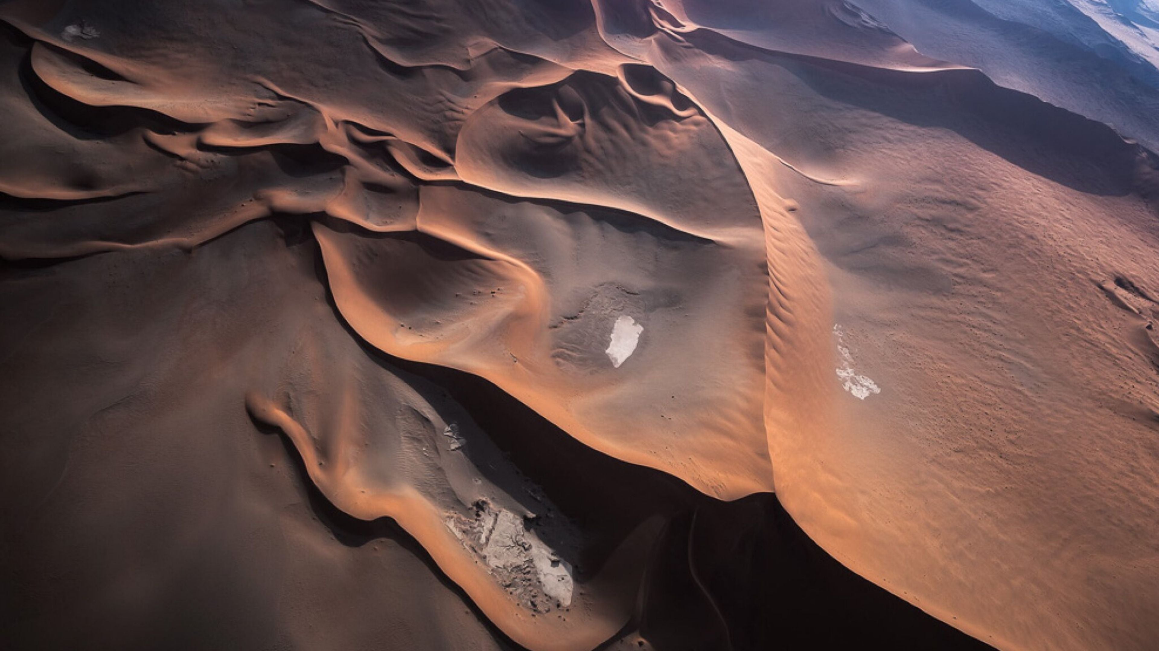 Aerial photograph of sweeping desert sand dunes in warm golden and deep brown tones, with soft shadows highlighting the natural curves and textures of the landscape.
